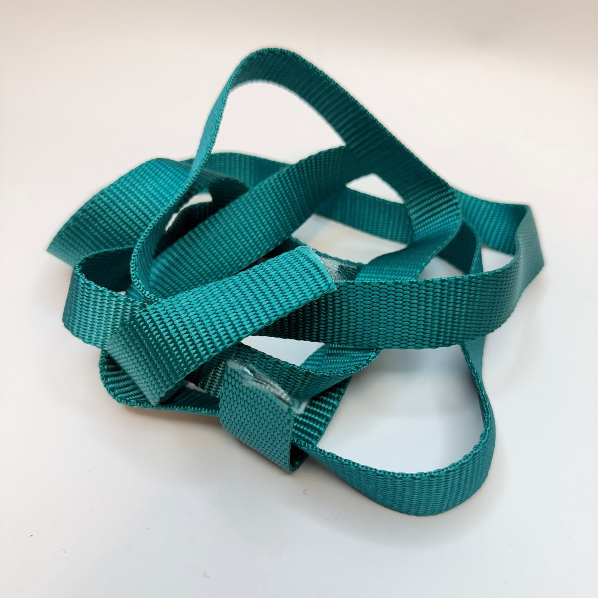 1" (25mm) Webbing Trim - Turquoise - 2M Bundle - True Deadstock supplies Fabric by private - Sustainable Textile | FABCYCLE