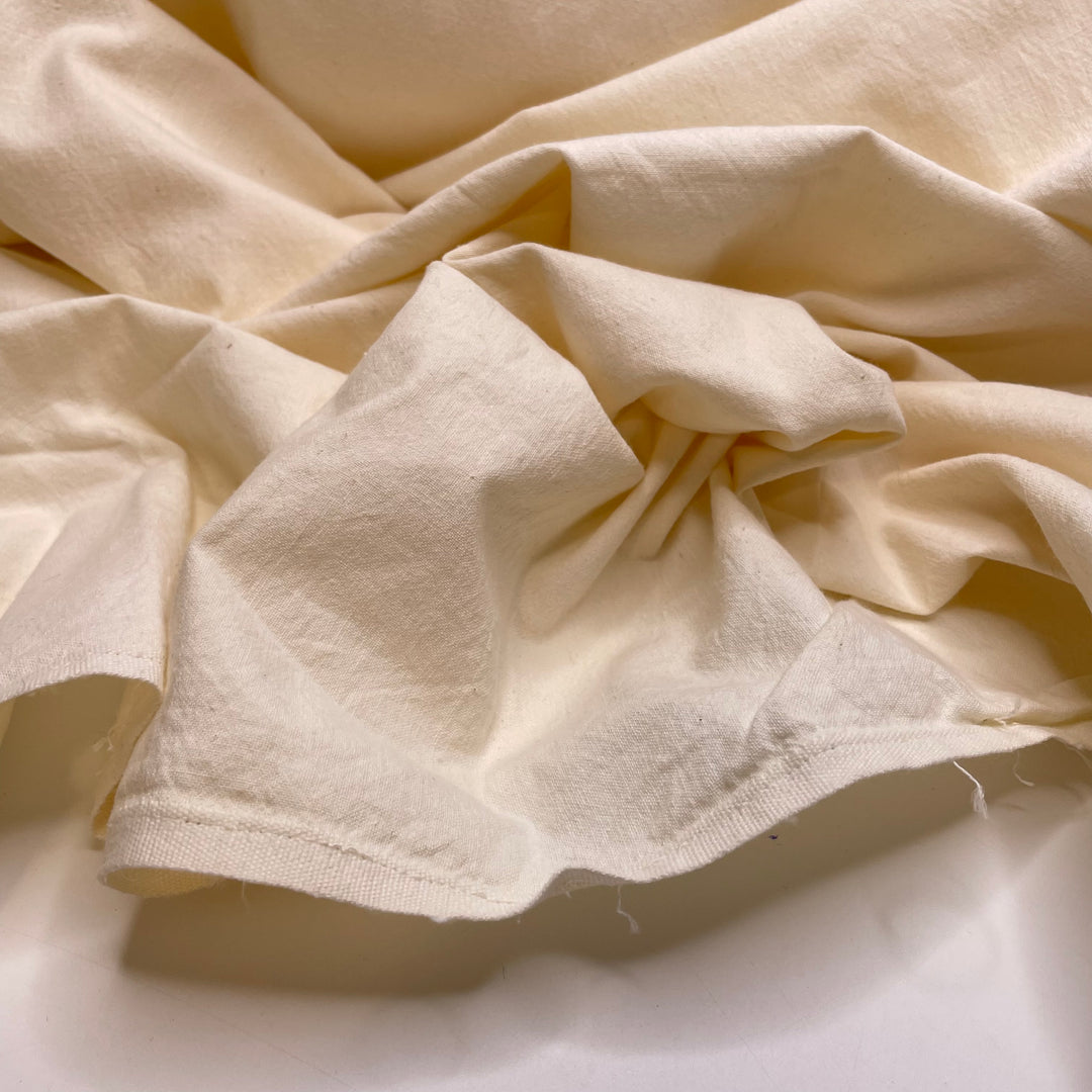 Canvassing The Area - Cotton Woven - Cream - 2.4M Bundle