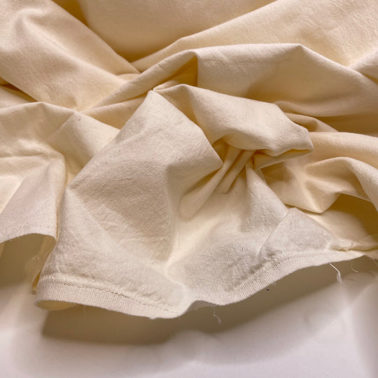 Canvassing The Area - Cotton Woven - Cream - 2.4M Bundle