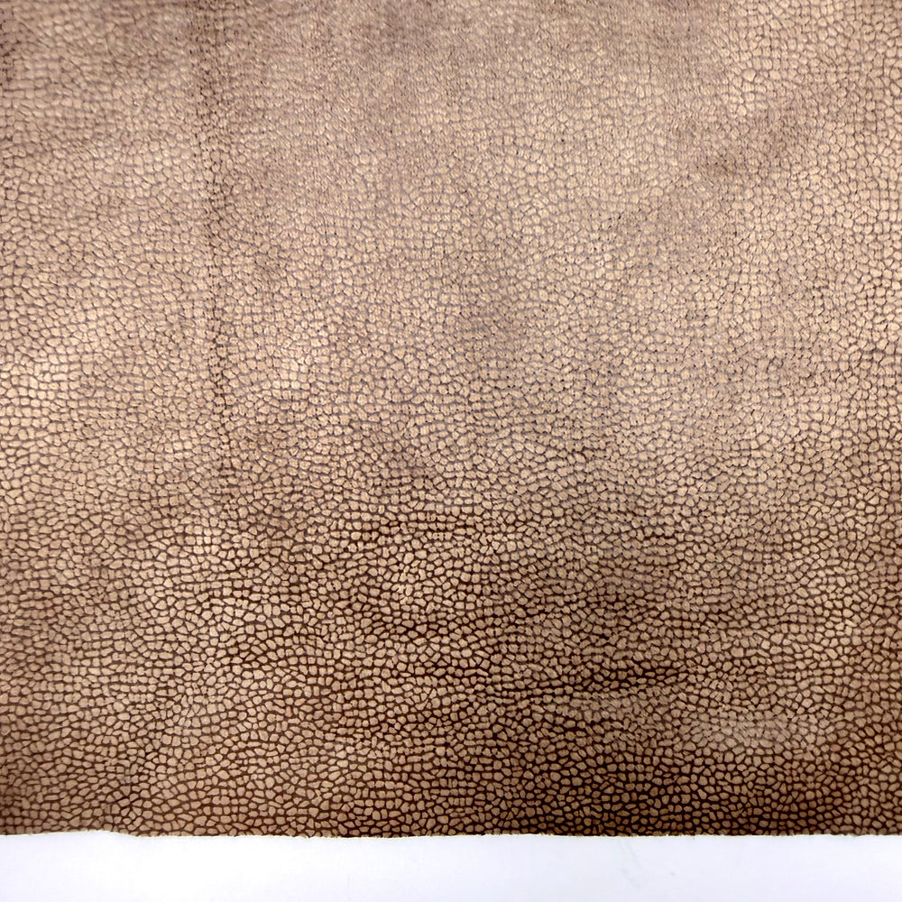My Last First Day Of School - Faux Suede-like Double Cloth Knit Poly/Nylon  - Beige/Brown - 1.25M Bundle