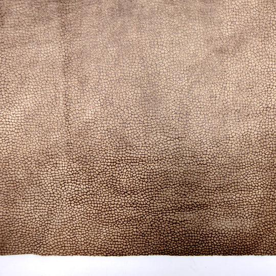 My Last First Day Of School - Faux Suede-like Double Cloth Knit Poly/Nylon  - Beige/Brown - 1.25M Bundle