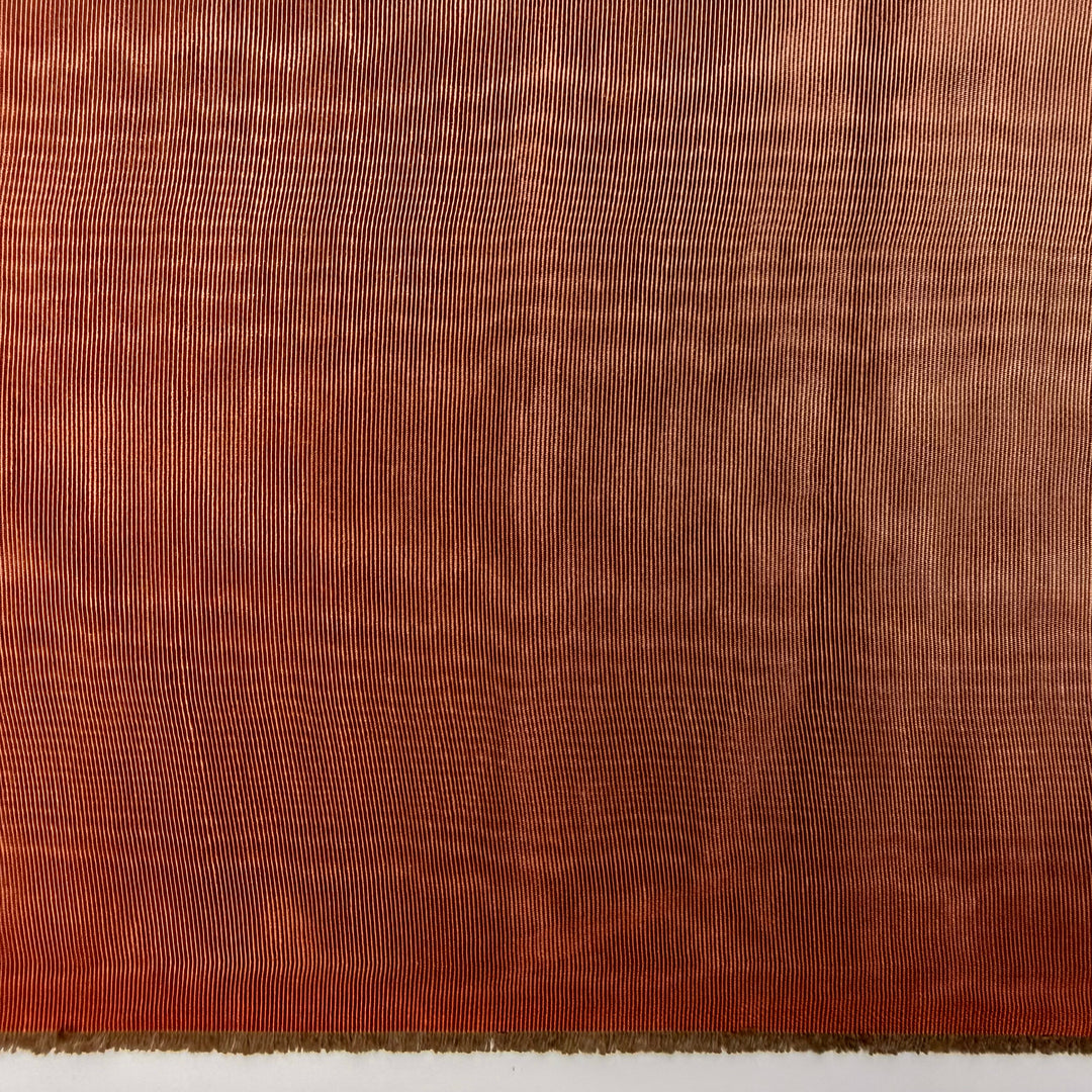 The Start Of Pumpkin Big - Cotton Woven - Brown - 3.75M Bundle