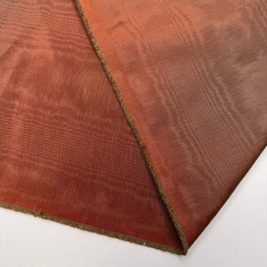The Start Of Pumpkin Big - Cotton Woven - Brown - 3.75M Bundle