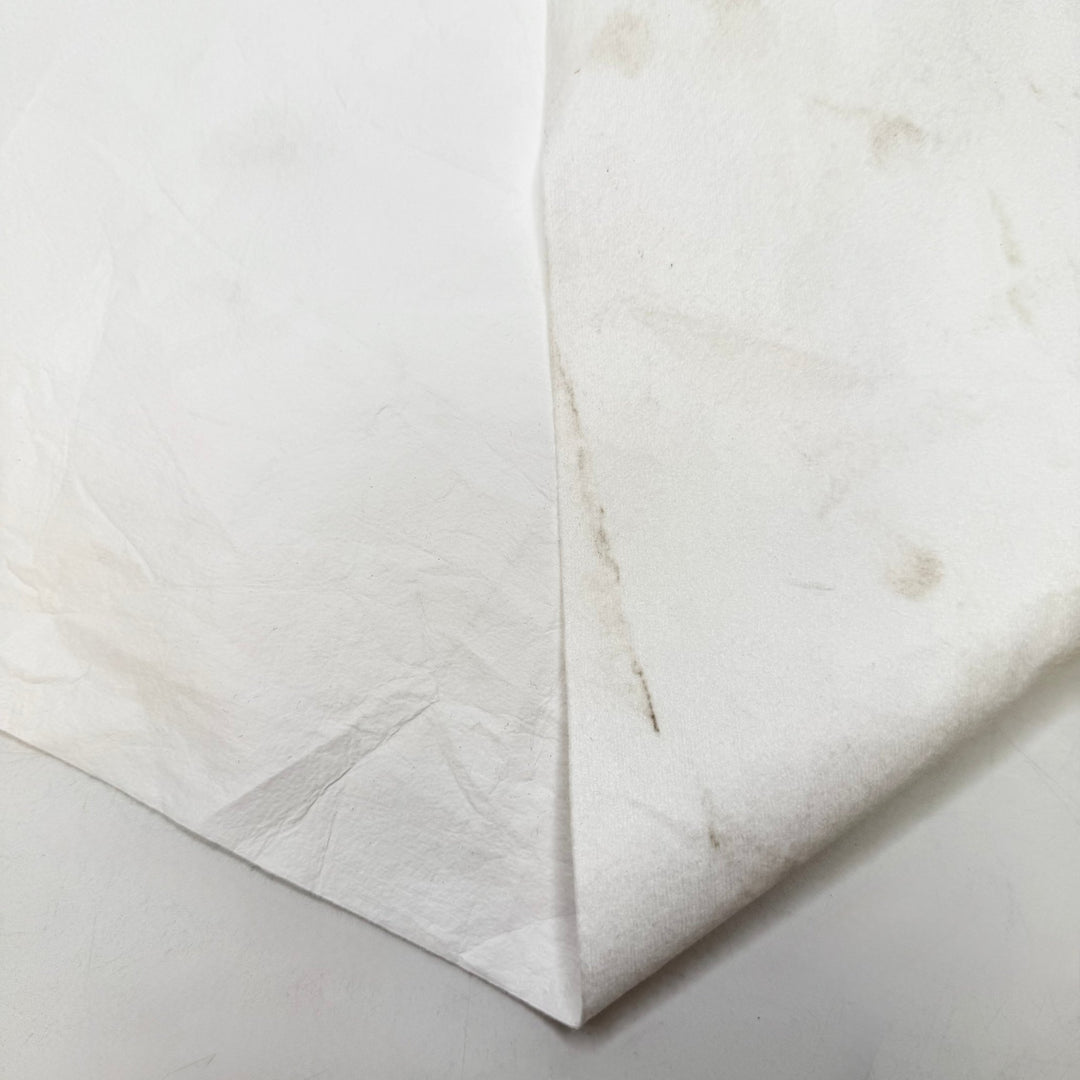 A Tiny Matching Purse For My Kid - Waterproof Poly/PU Woven - White - Bundles - True Deadstock fabric Fabric by private - Sustainable Textile | FABCYCLE