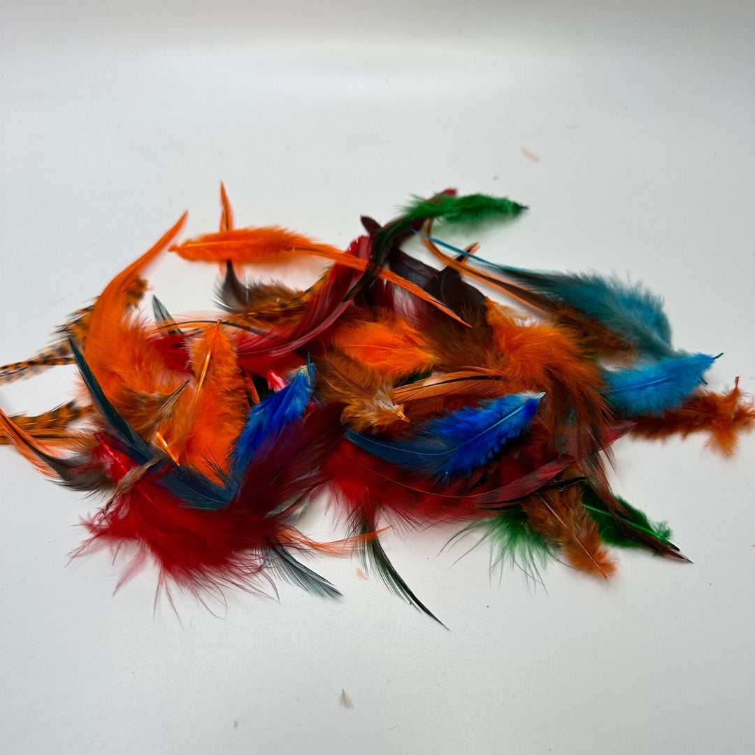 Bright Craft Feathers - Multi - 20 Pack - True Deadstock supplies Fabric by private - Sustainable Textile | FABCYCLE