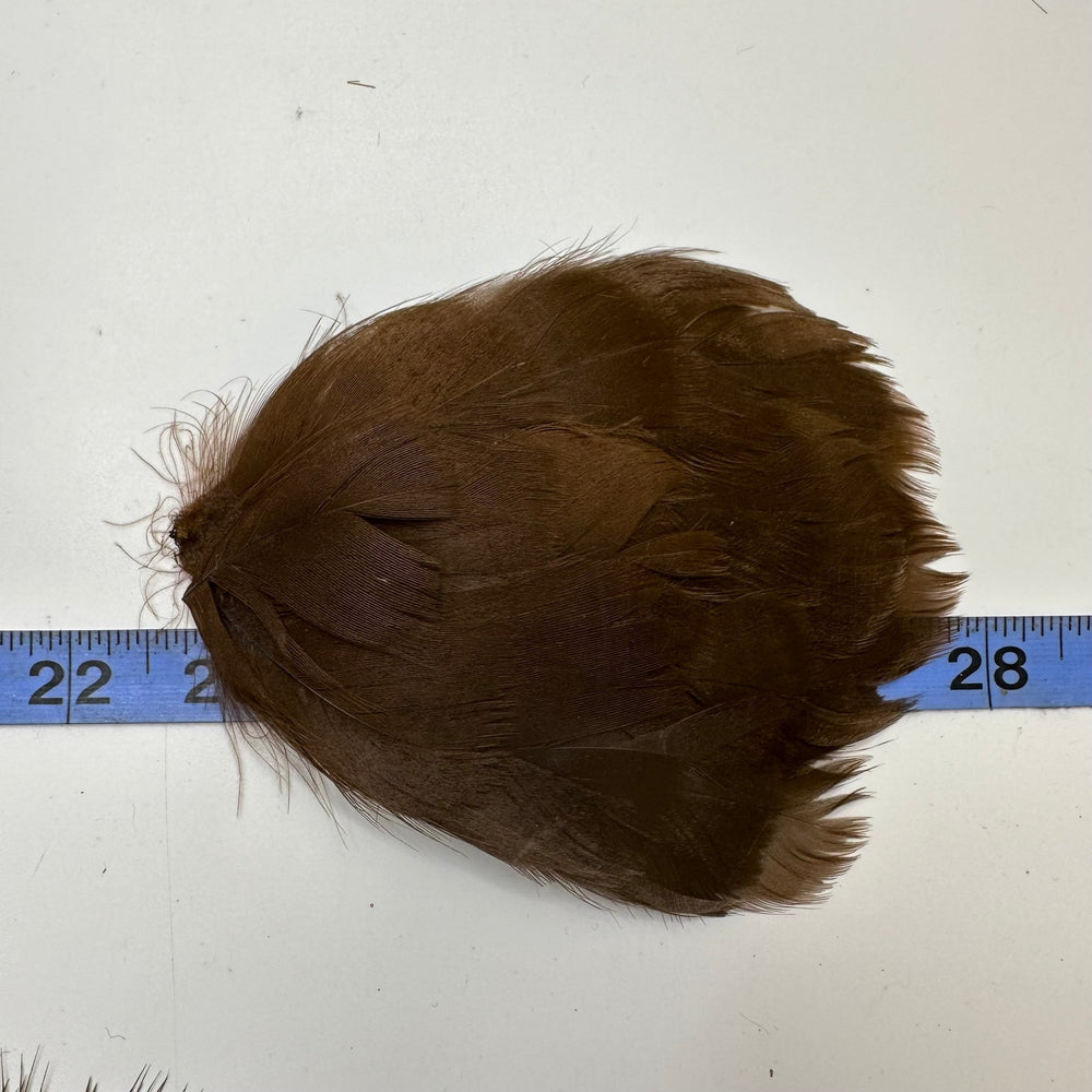 Brown Hat Piece Feathers - Brown - Individual - True Deadstock supplies Fabric by private - Sustainable Textile | FABCYCLE