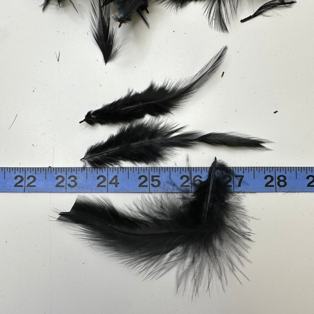 Craft Feathers - Black - 50 Pack - True Deadstock supplies Fabric by private - Sustainable Textile | FABCYCLE