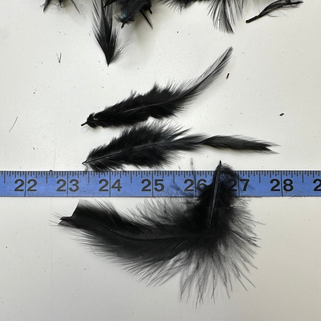 Craft Feathers - Black - 50 Pack - True Deadstock supplies Fabric by private - Sustainable Textile | FABCYCLE