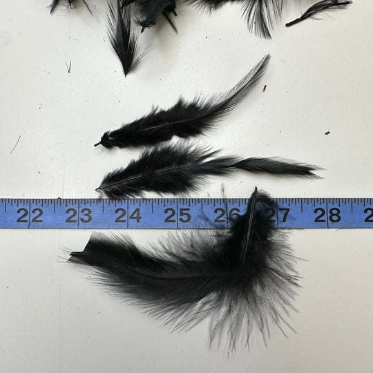 Craft Feathers - Black - 50 Pack - True Deadstock supplies Fabric by private - Sustainable Textile | FABCYCLE