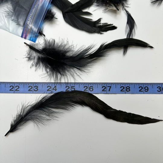 Craft Feathers - Black - 50 Pack - True Deadstock supplies Fabric by private - Sustainable Textile | FABCYCLE