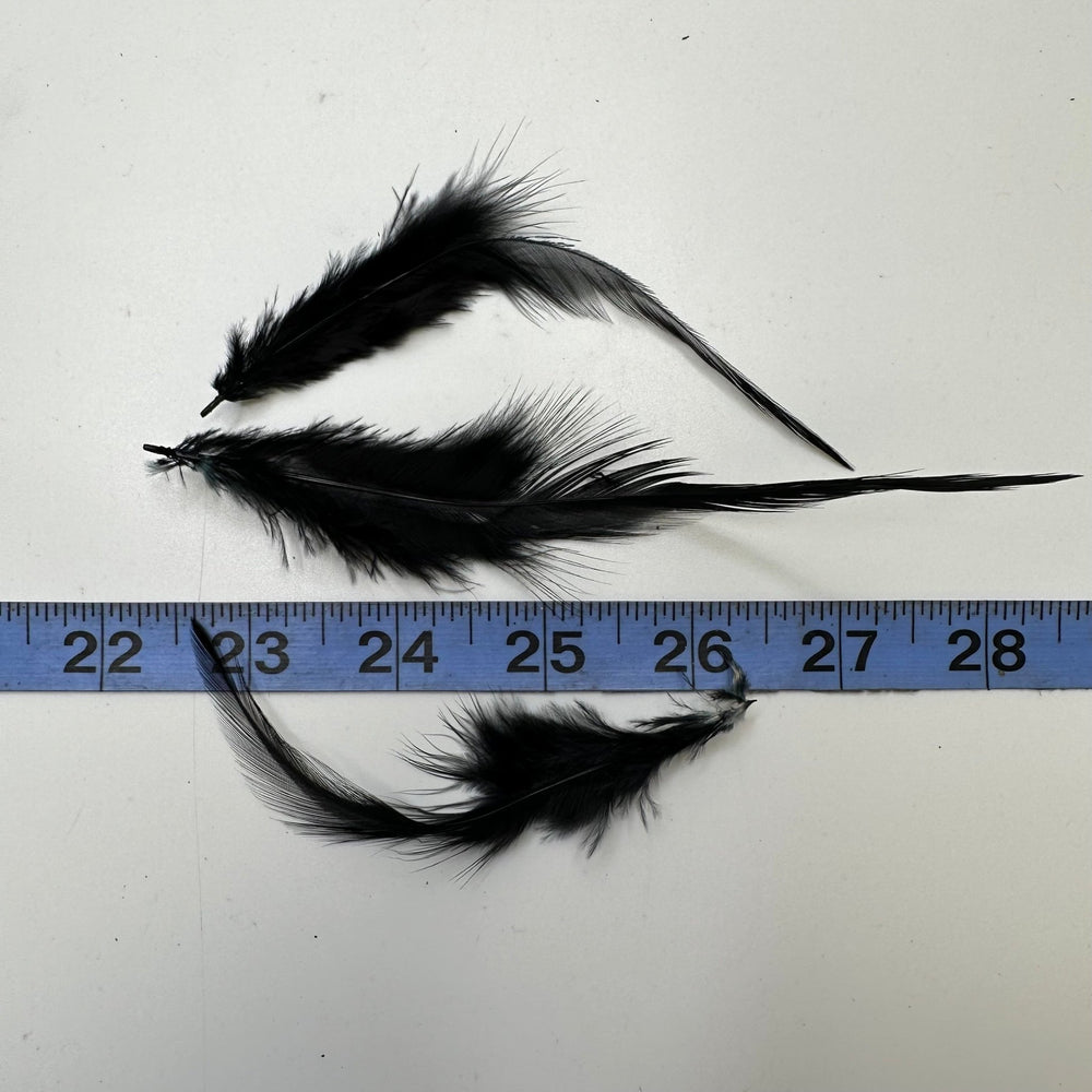 Craft Feathers - Black - 50 Pack - True Deadstock supplies Fabric by private - Sustainable Textile | FABCYCLE