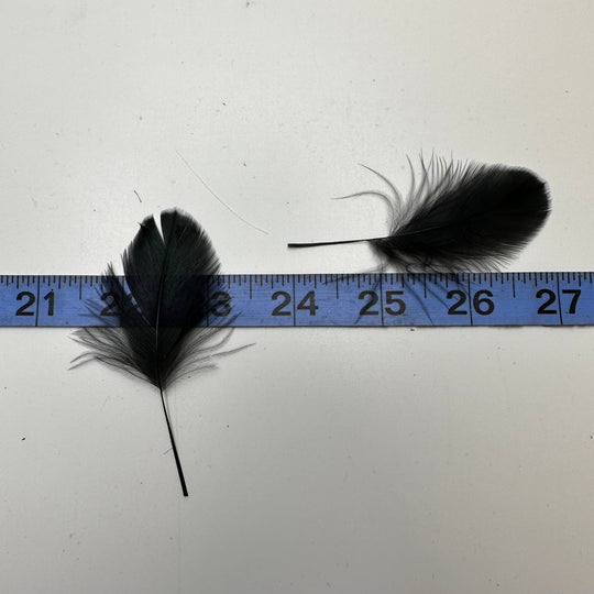Craft Feathers - Black - 80 Pack - True Deadstock supplies Fabric by private - Sustainable Textile | FABCYCLE