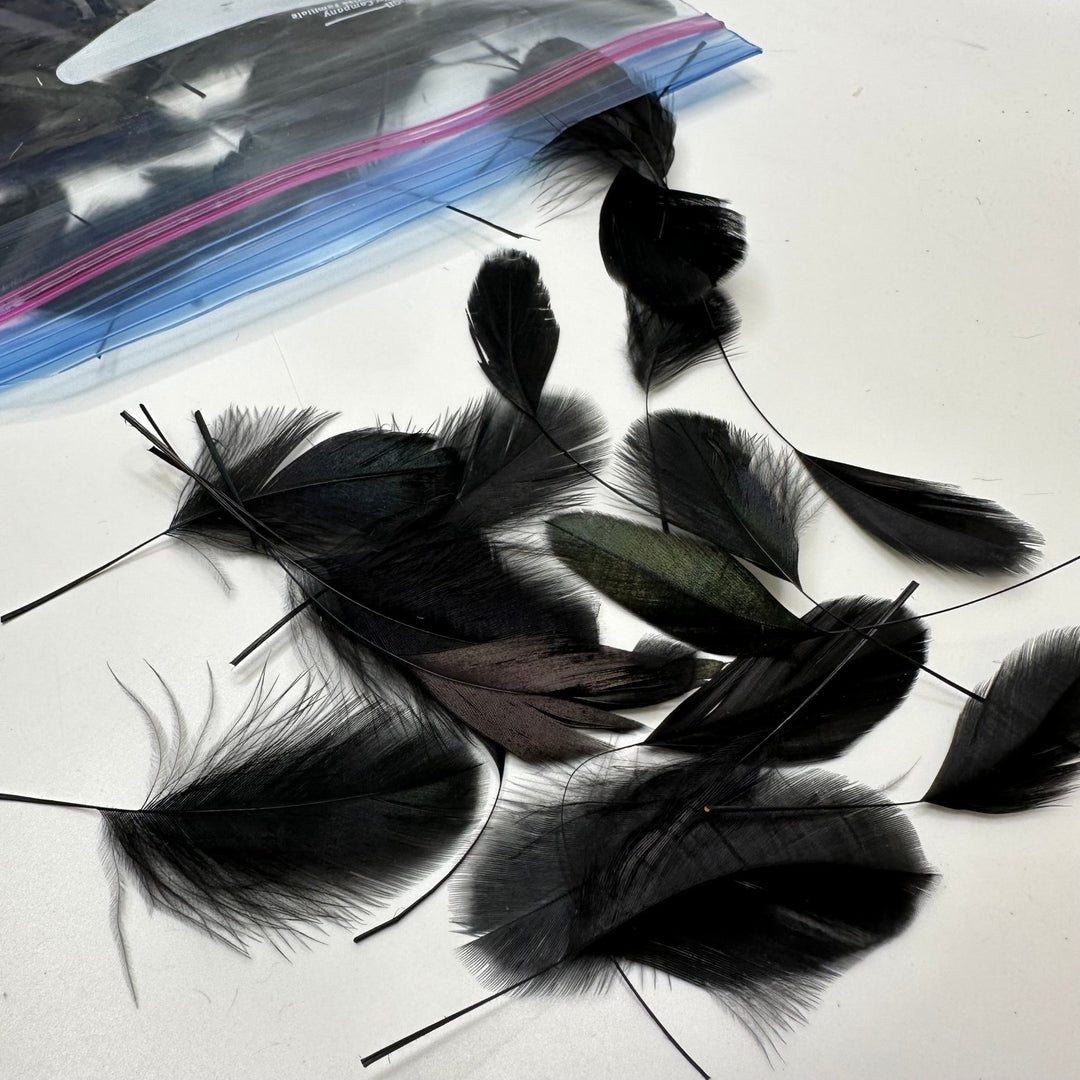 Craft Feathers - Black - 80 Pack - True Deadstock supplies Fabric by private - Sustainable Textile | FABCYCLE