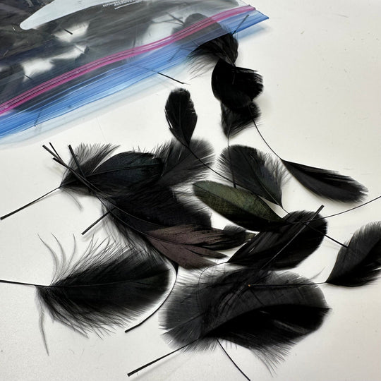 Craft Feathers - Black - 80 Pack - True Deadstock supplies Fabric by private - Sustainable Textile | FABCYCLE