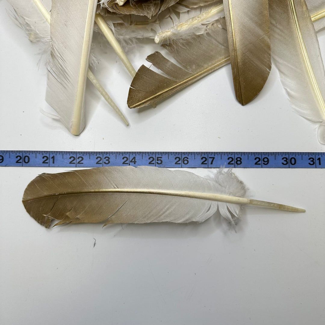 Gold Wing Feathers - White/Gold - 20 Pack - True Deadstock supplies Fabric by private - Sustainable Textile | FABCYCLE