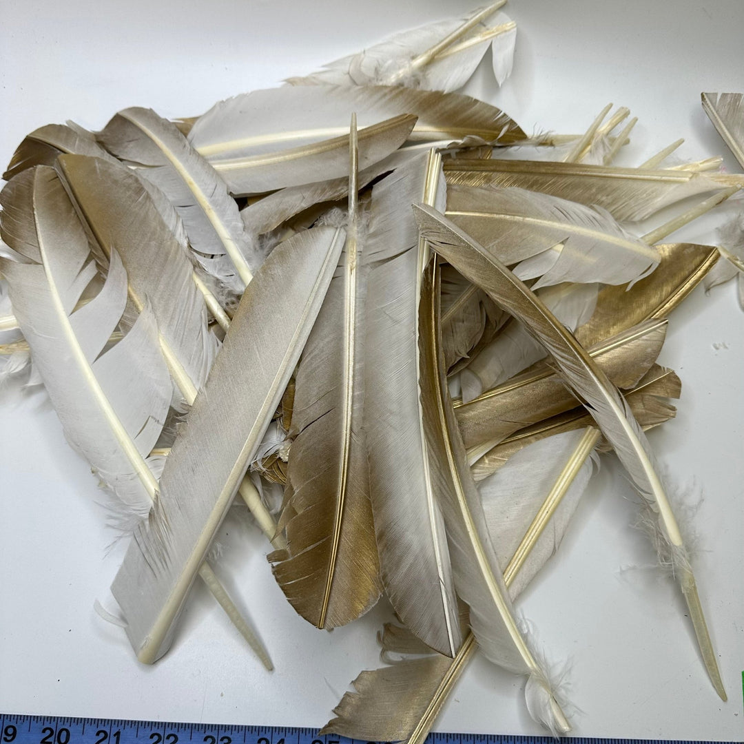 Gold Wing Feathers - White/Gold - 20 Pack - True Deadstock supplies Fabric by private - Sustainable Textile | FABCYCLE