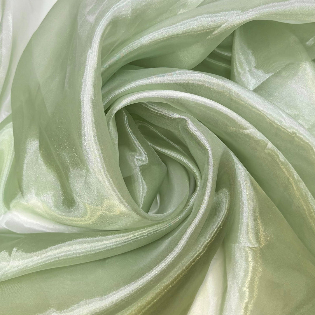 Guest List - Organza Polyester Blend Woven - Light Green - 2M Bundle - True Deadstock fabric Fabric by private - Sustainable Textile | FABCYCLE