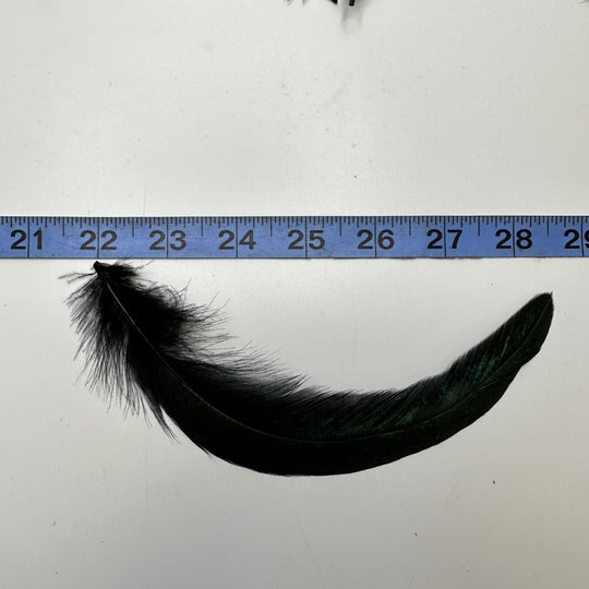 Long Craft Feathers - Black/Green - 10 Pack - True Deadstock supplies Fabric by private - Sustainable Textile | FABCYCLE