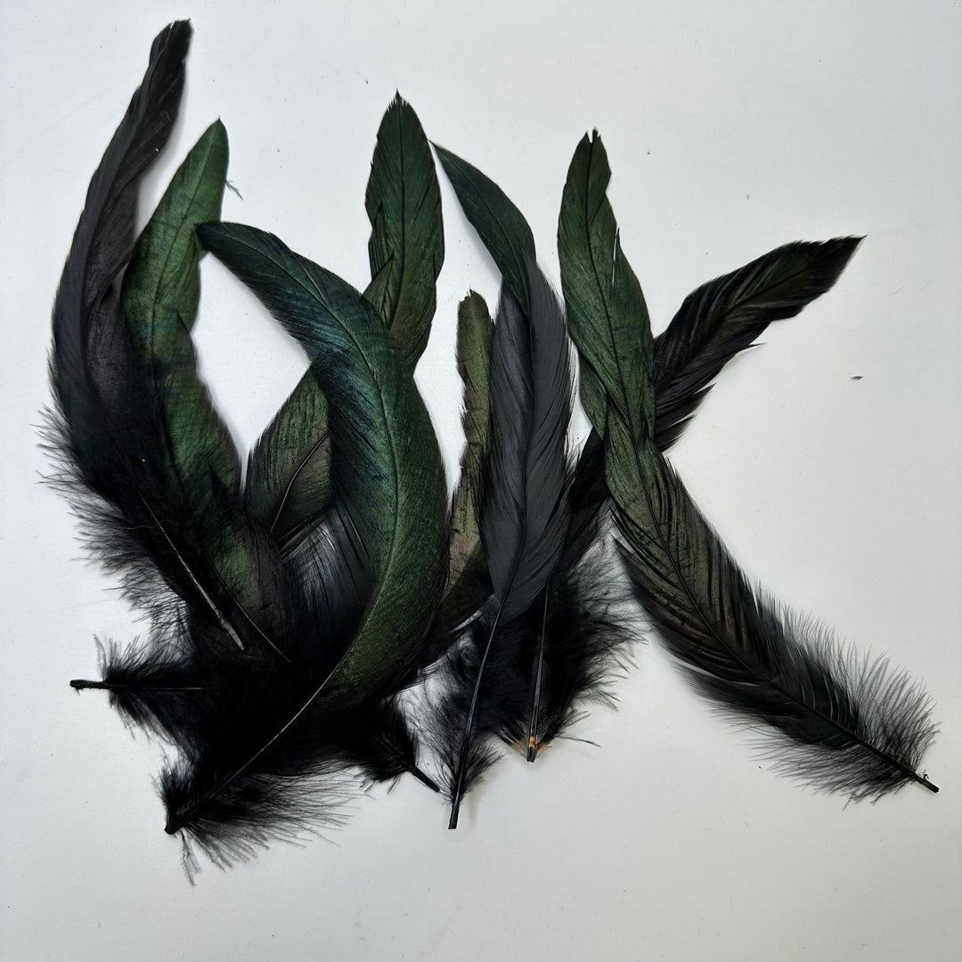 Long Craft Feathers - Black/Green - 10 Pack - True Deadstock supplies Fabric by private - Sustainable Textile | FABCYCLE
