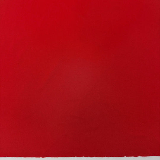 Nothing But Knits - Jersey Polyester Blend Knit - Red - 3M Bundle - True Deadstock fabric Fabric by private - Sustainable Textile | FABCYCLE