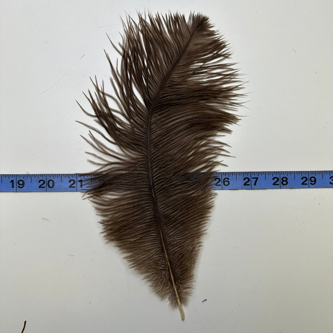 Ostrich Feathers - Brown - Individual - True Deadstock supplies Fabric by private - Sustainable Textile | FABCYCLE