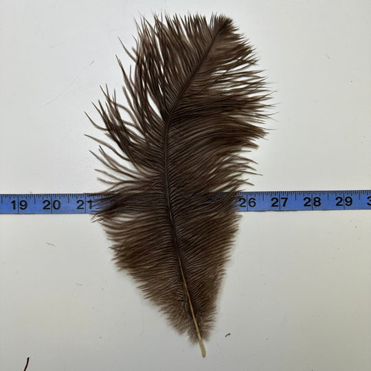 Ostrich Feathers - Brown - Individual - True Deadstock supplies Fabric by private - Sustainable Textile | FABCYCLE