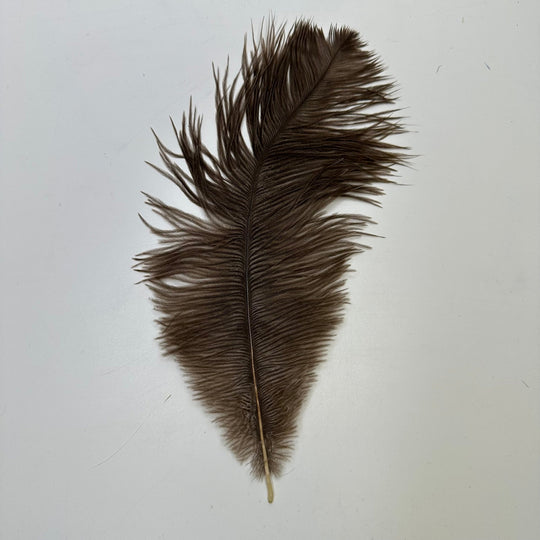 Ostrich Feathers - Brown - Individual - True Deadstock supplies Fabric by private - Sustainable Textile | FABCYCLE