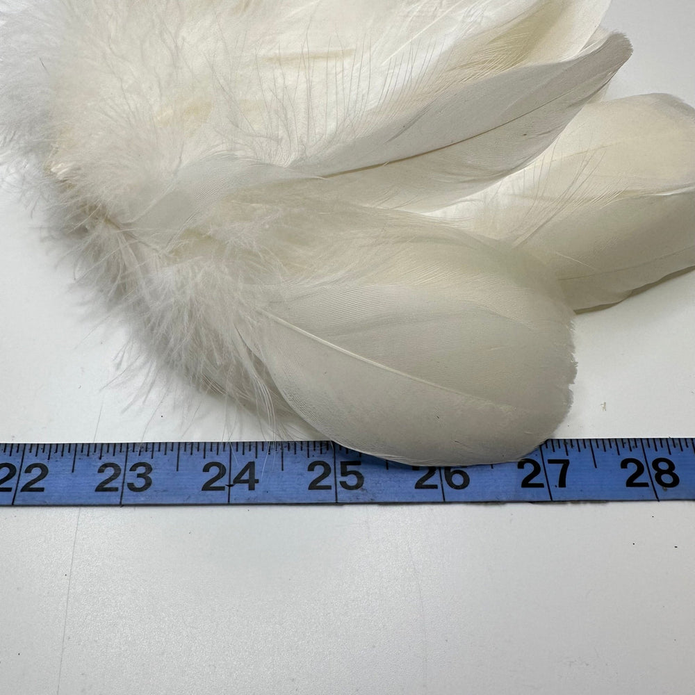 Soft White Craft Feathers - Cream/White - 10 Pack - True Deadstock supplies Fabric by private - Sustainable Textile | FABCYCLE