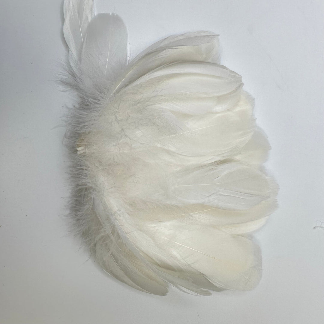 Soft White Craft Feathers - Cream/White - 10 Pack - True Deadstock supplies Fabric by private - Sustainable Textile | FABCYCLE