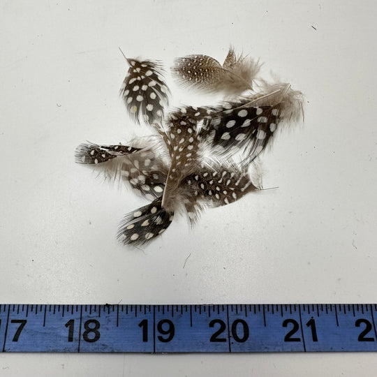 Spotted Feathers - Beige/White - 5 Pack - True Deadstock supplies Fabric by private - Sustainable Textile | FABCYCLE