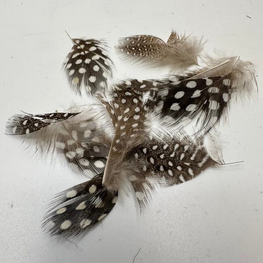 Spotted Feathers - Beige/White - 5 Pack - True Deadstock supplies Fabric by private - Sustainable Textile | FABCYCLE