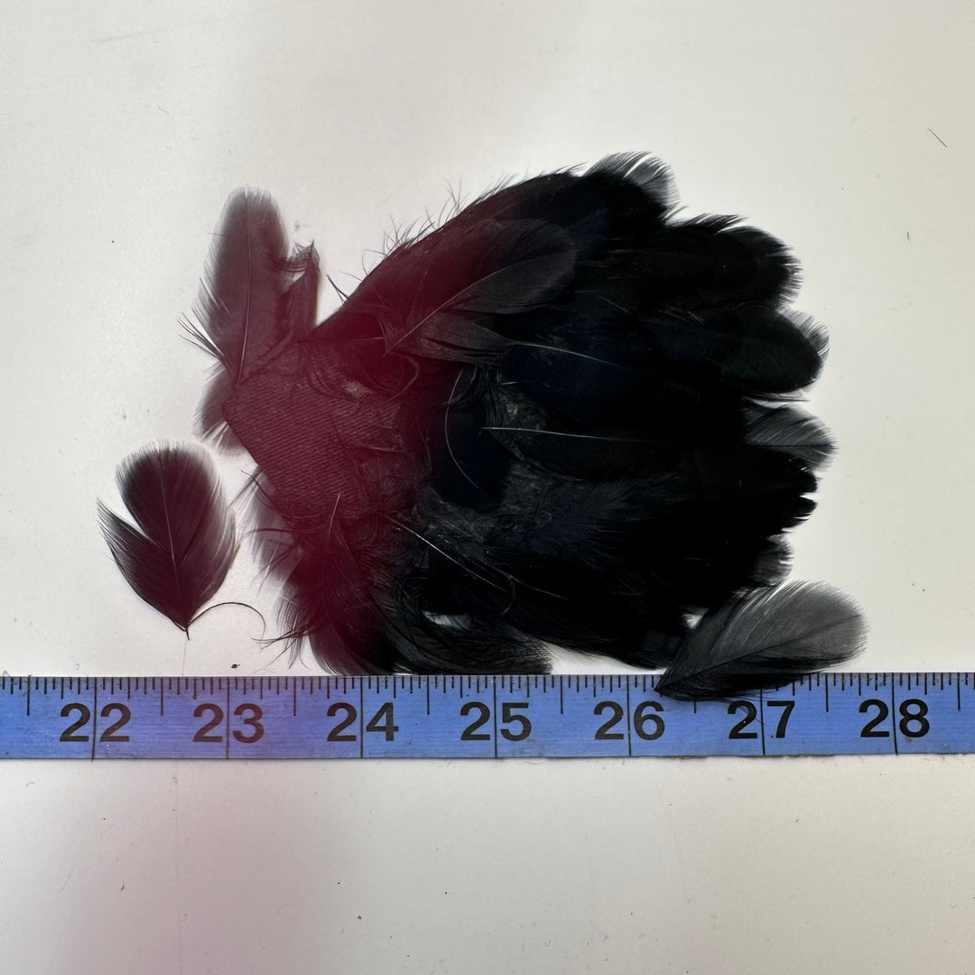 Tiny Feather Hat Piece Feathers - Black - Individual - True Deadstock supplies Fabric by private - Sustainable Textile | FABCYCLE