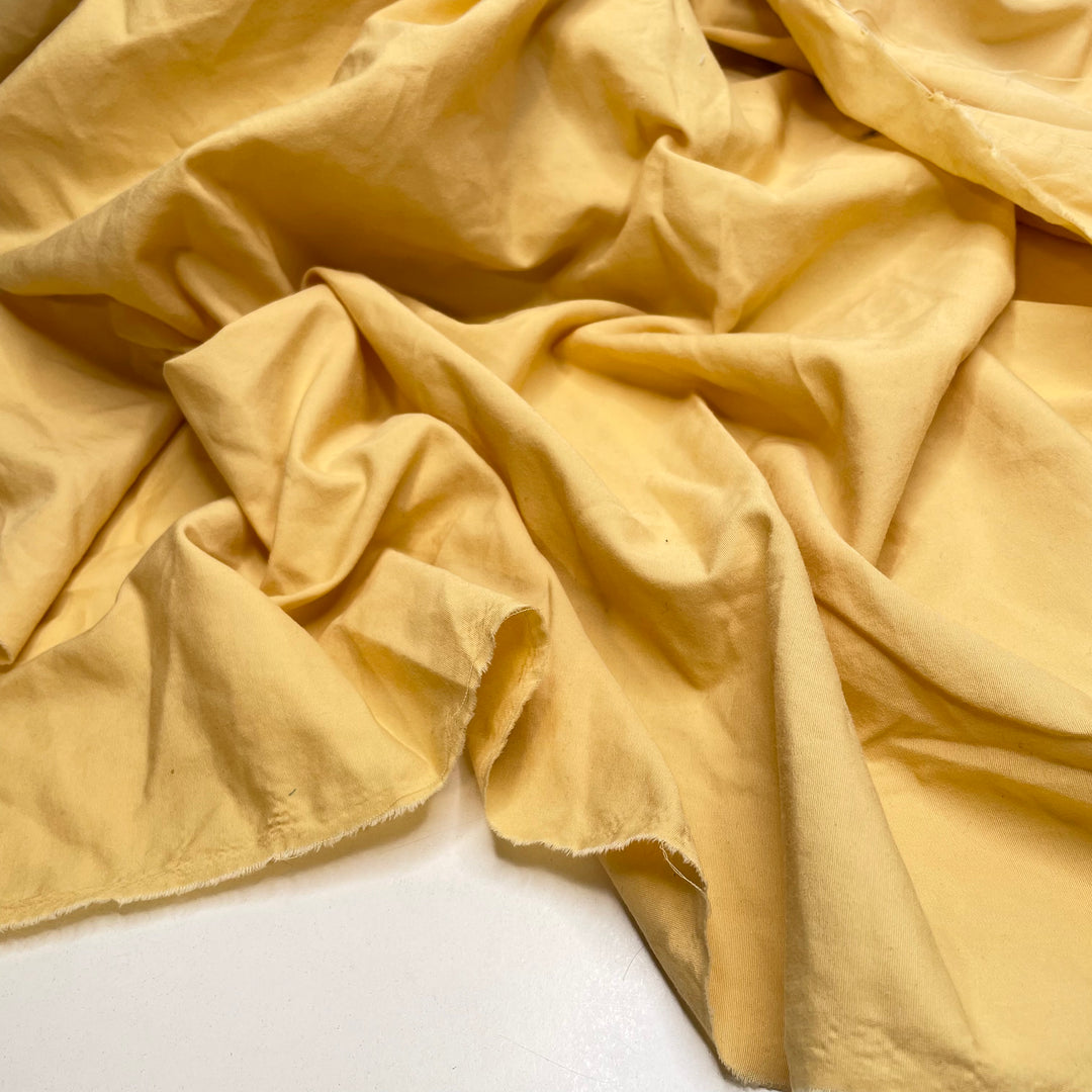 Custard Tarts - Cotton Woven - Light Yellow - 1.8M Bundle (6824378990705)