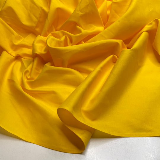 Another Trip Around The Sun - Cotton Woven - Yellow - 1.2M Bundle
